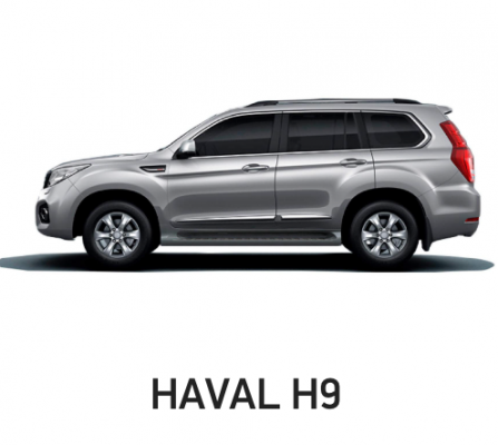 Ремонт Химчистка Haval H9